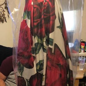 David’s Bridal Formal Dress